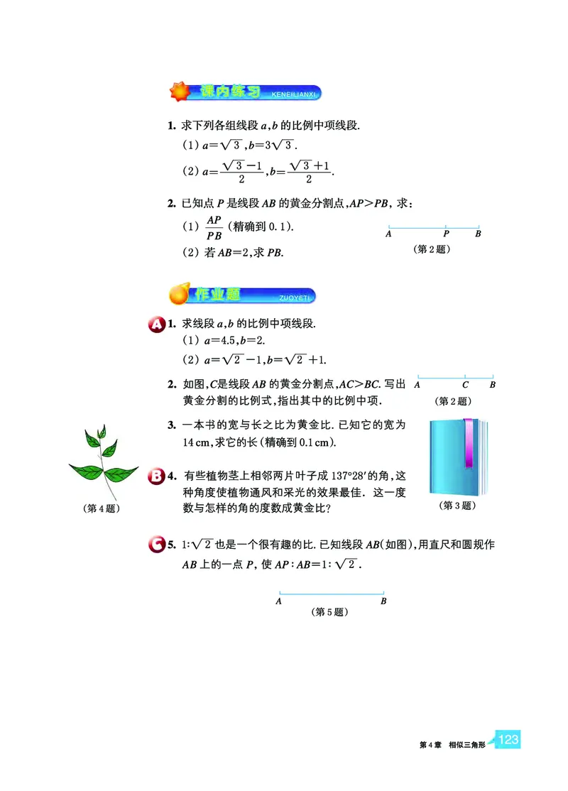 浙教版9年级数学上册高清教材_4-教培资料-26年最新资料-同步更新_初中高中教资_03科三专项（进去保存报考的学科即可）_02科三专项（笔记真题思维导图教学设计版本二）