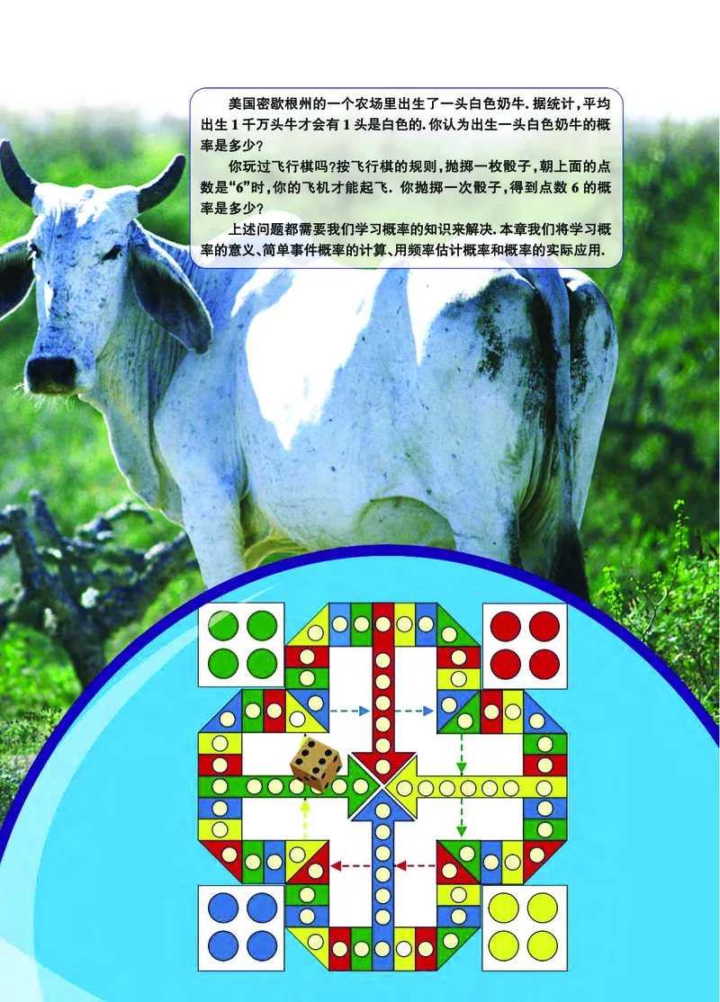 浙教版9年级数学上册高清教材_4-教培资料-26年最新资料-同步更新_初中高中教资_03科三专项（进去保存报考的学科即可）_02科三专项（笔记真题思维导图教学设计版本二）