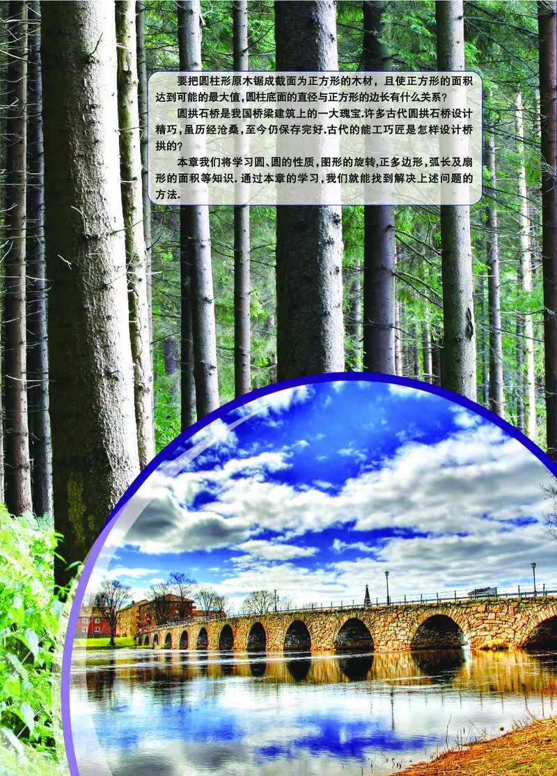 浙教版9年级数学上册高清教材_4-教培资料-26年最新资料-同步更新_初中高中教资_03科三专项（进去保存报考的学科即可）_02科三专项（笔记真题思维导图教学设计版本二）