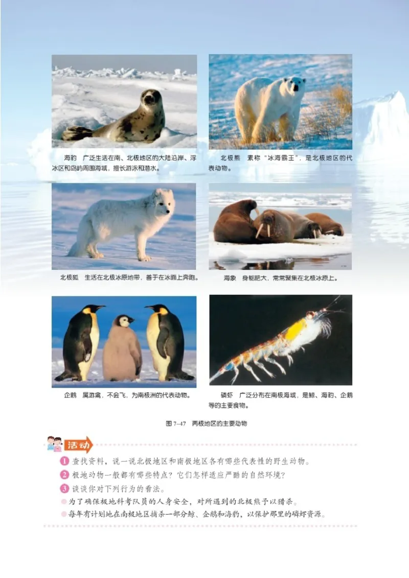 湘教版7年级地理下册高清教材_4-教培资料-26年最新资料-同步更新_初中高中教资_03科三专项（进去保存报考的学科即可）_02科三专项（笔记真题思维导图教学设计版本二）