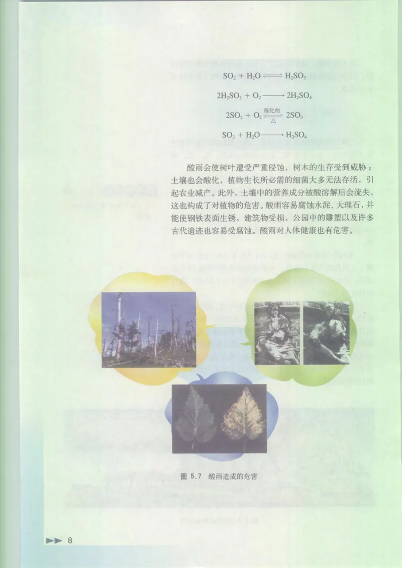 沪科版化学高一第二学期_4-教培资料-26年最新资料-同步更新_初中高中教资_03科三专项（进去保存报考的学科即可）_02科三专项（笔记真题思维导图教学设计版本二）