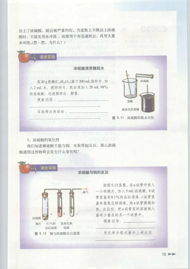 沪科版化学高一第二学期_4-教培资料-26年最新资料-同步更新_初中高中教资_03科三专项（进去保存报考的学科即可）_02科三专项（笔记真题思维导图教学设计版本二）