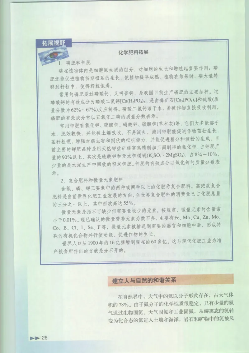 沪科版化学高一第二学期_4-教培资料-26年最新资料-同步更新_初中高中教资_03科三专项（进去保存报考的学科即可）_02科三专项（笔记真题思维导图教学设计版本二）