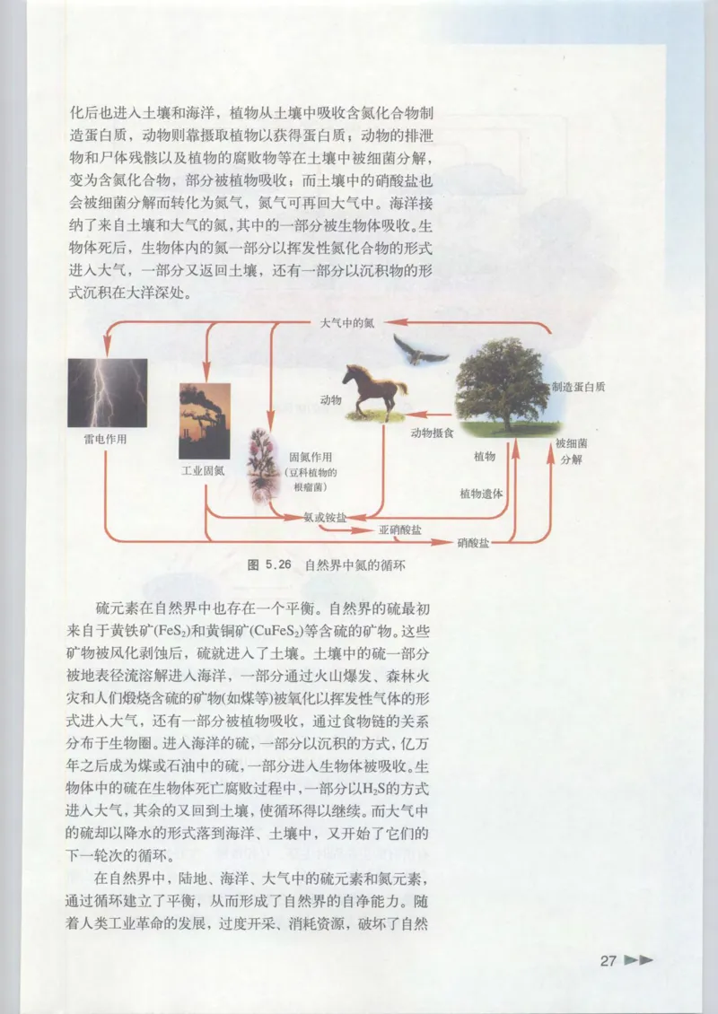 沪科版化学高一第二学期_4-教培资料-26年最新资料-同步更新_初中高中教资_03科三专项（进去保存报考的学科即可）_02科三专项（笔记真题思维导图教学设计版本二）