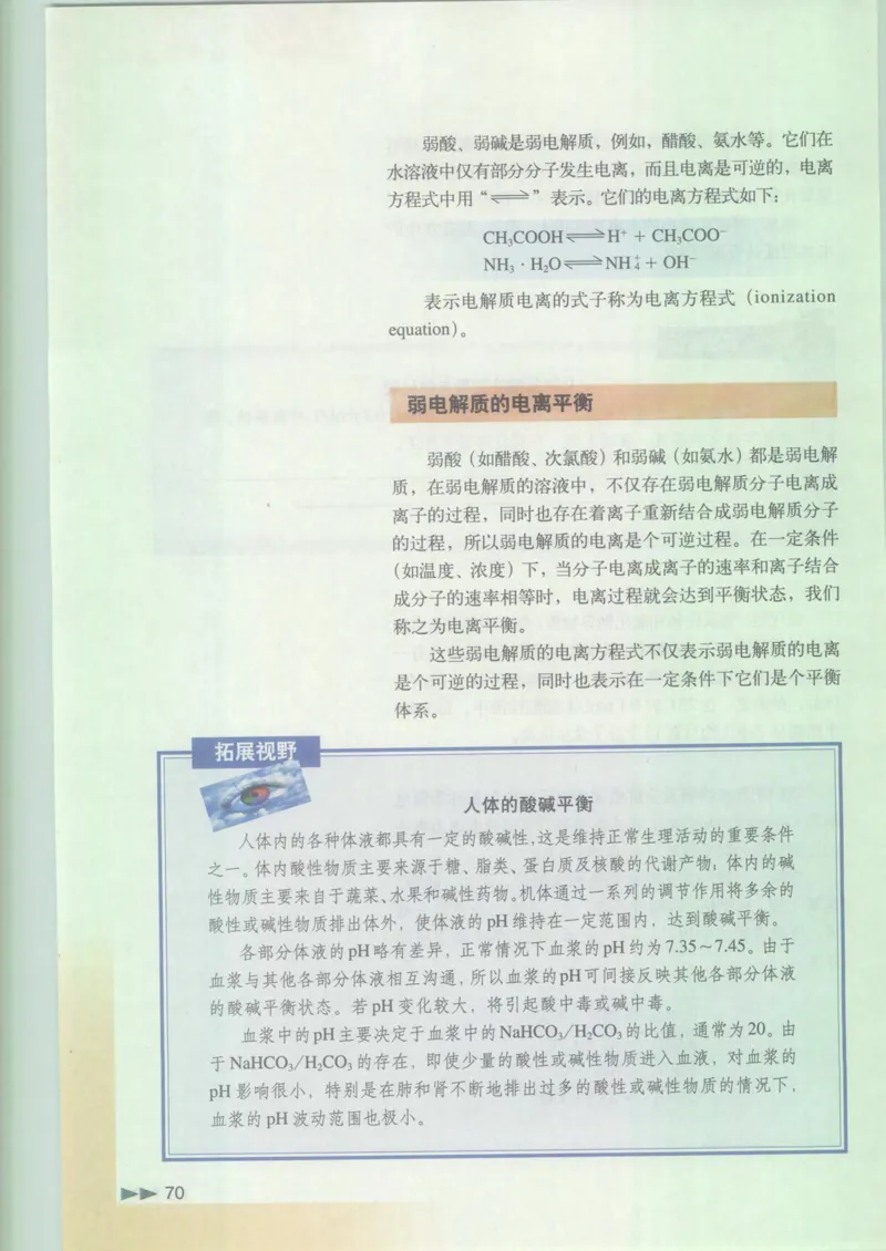 沪科版化学高一第二学期_4-教培资料-26年最新资料-同步更新_初中高中教资_03科三专项（进去保存报考的学科即可）_02科三专项（笔记真题思维导图教学设计版本二）