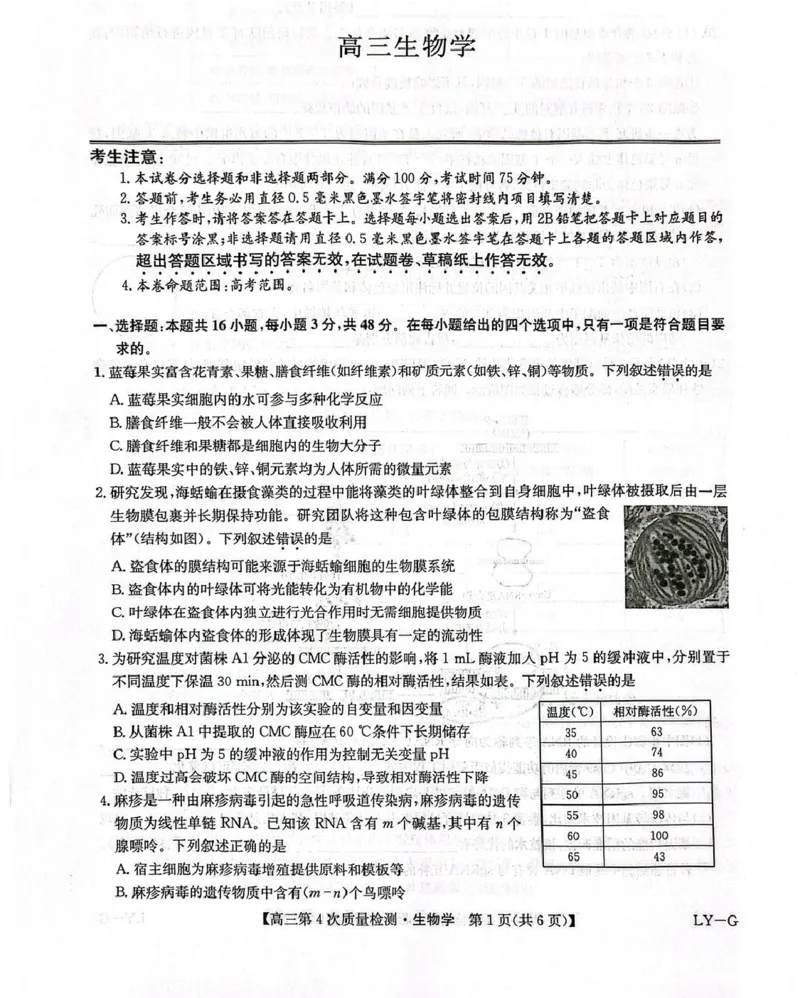 河南省九师联盟2026届高三上学期12月联考生物_2025年12月_251206九师联盟2026届高三上学期12月联考（第4次质量检测）（全科）