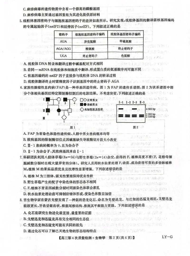 河南省九师联盟2026届高三上学期12月联考生物_2025年12月_251206九师联盟2026届高三上学期12月联考（第4次质量检测）（全科）