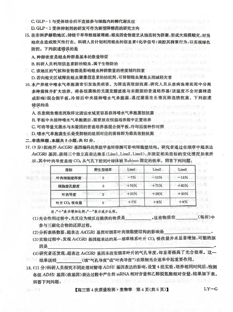 河南省九师联盟2026届高三上学期12月联考生物_2025年12月_251206九师联盟2026届高三上学期12月联考（第4次质量检测）（全科）