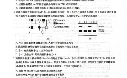 河南省九师联盟2026届高三上学期12月联考生物_2025年12月_251206九师联盟2026届高三上学期12月联考（第4次质量检测）（全科）