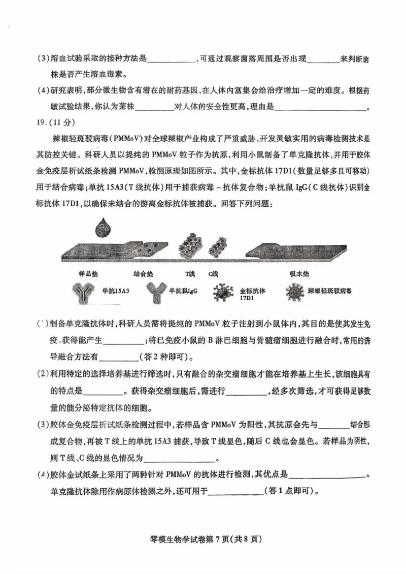 四川省内江市2026届高三上学期学期零模（高二下学期期末）生物试卷（含答案）_2025年7月_250711四川省内江市2026届高三上学期学期零模（高二下学期期末）