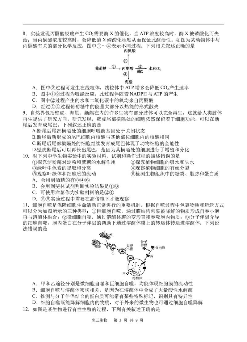 生物_251101四川省遂宁市射洪中学2026届高三上学期期中考试_四川省遂宁市射洪中学2026届高三上学期期中考试生物Word版含答案