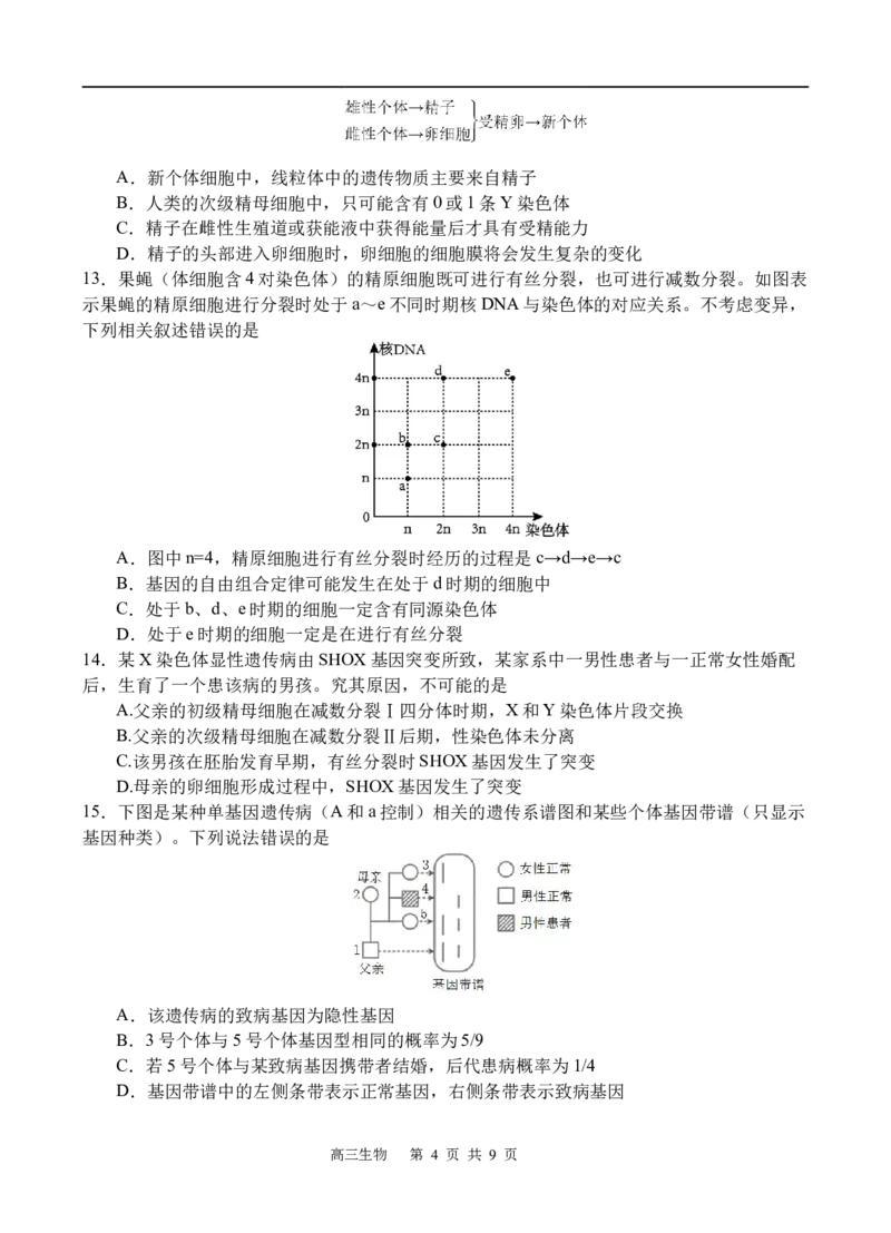 生物_251101四川省遂宁市射洪中学2026届高三上学期期中考试_四川省遂宁市射洪中学2026届高三上学期期中考试生物Word版含答案