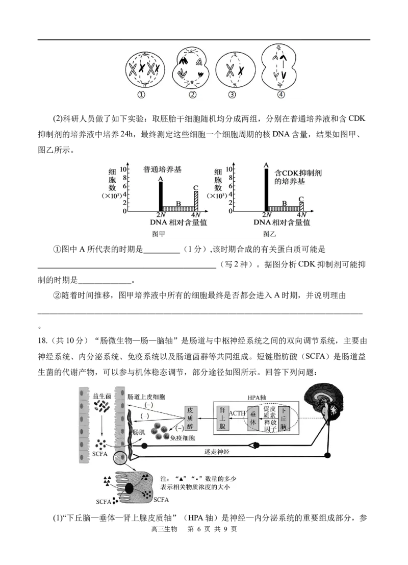 生物_251101四川省遂宁市射洪中学2026届高三上学期期中考试_四川省遂宁市射洪中学2026届高三上学期期中考试生物Word版含答案