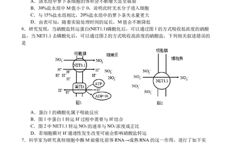 生物_251101四川省遂宁市射洪中学2026届高三上学期期中考试_四川省遂宁市射洪中学2026届高三上学期期中考试生物Word版含答案