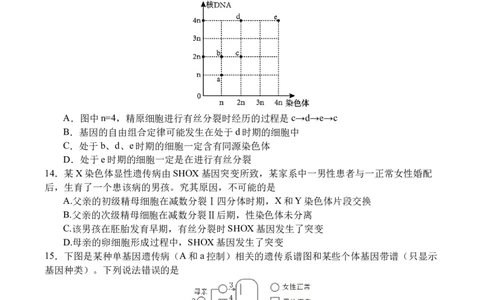 生物_251101四川省遂宁市射洪中学2026届高三上学期期中考试_四川省遂宁市射洪中学2026届高三上学期期中考试生物Word版含答案