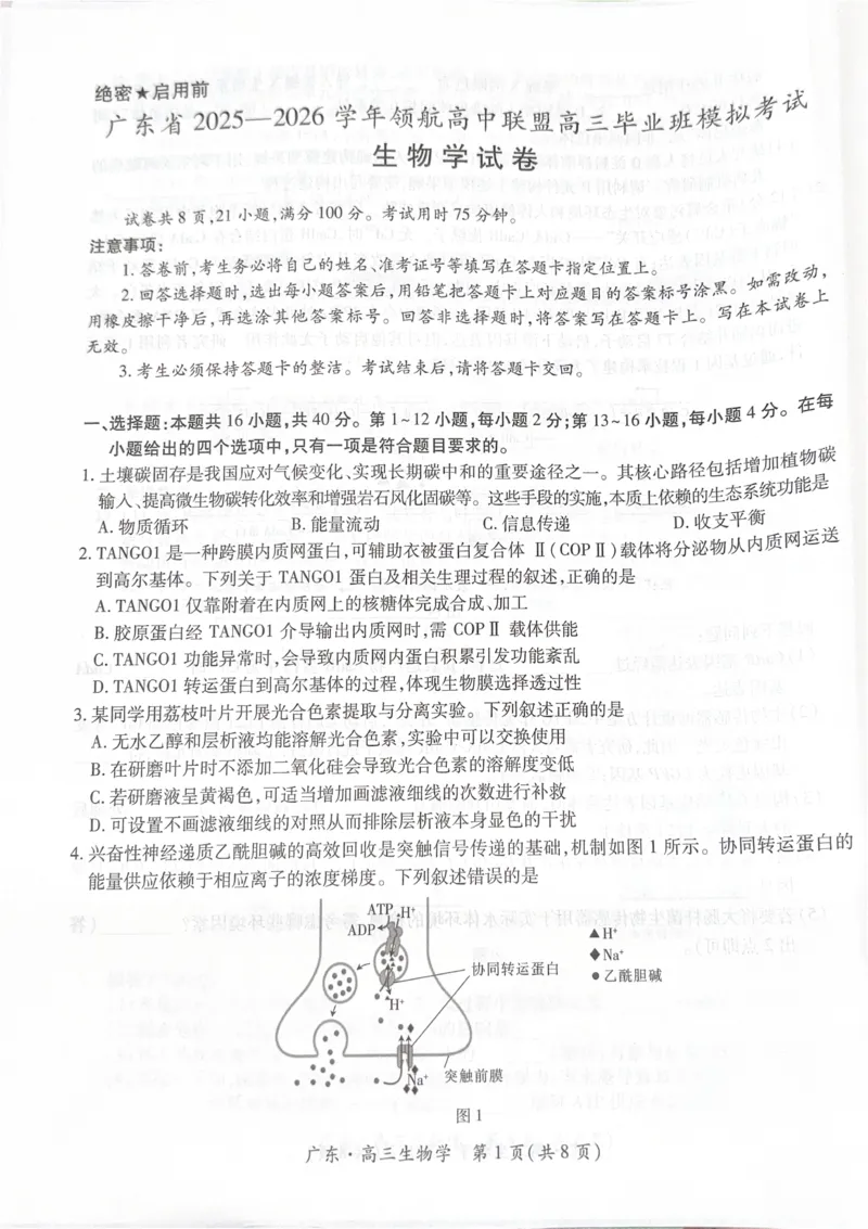 广东省领航高中联盟2025-2026学年高三上学期毕业班模拟考试生物学试卷（PDF版，无答案）_2025年12月_251202广东省2025-2026学年领航高中联盟高三毕业班模拟考试（全科）