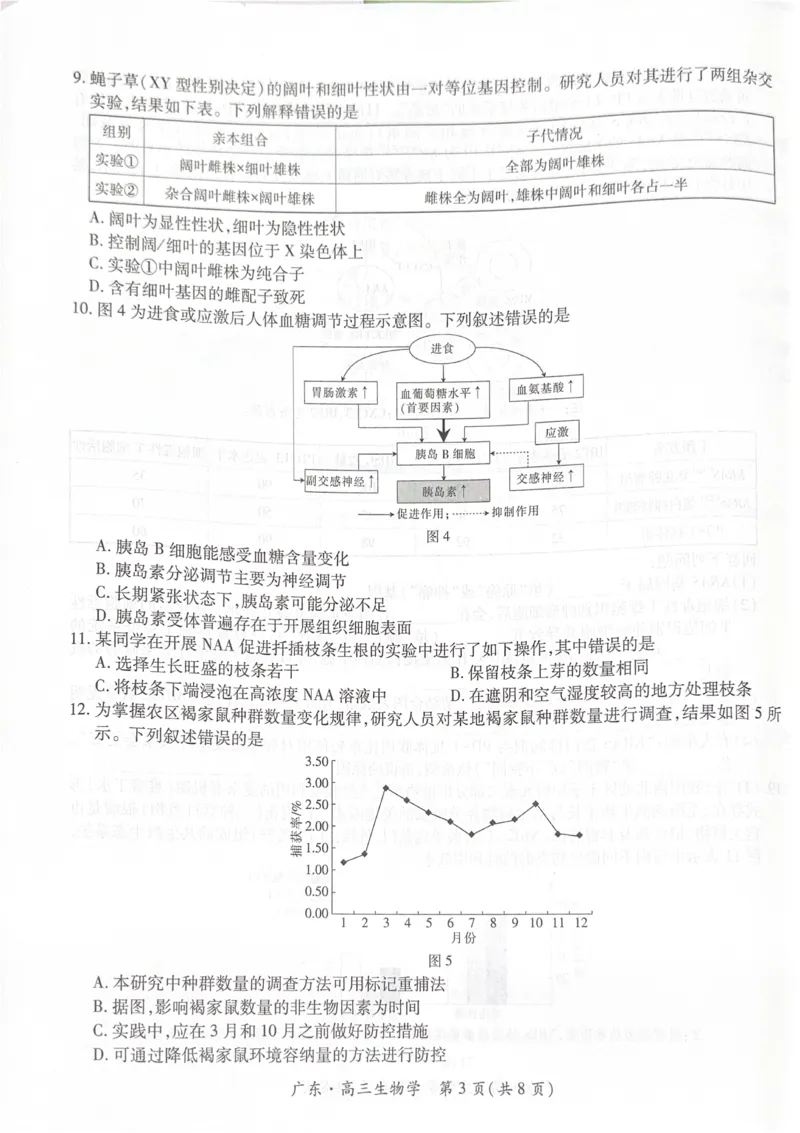 广东省领航高中联盟2025-2026学年高三上学期毕业班模拟考试生物学试卷（PDF版，无答案）_2025年12月_251202广东省2025-2026学年领航高中联盟高三毕业班模拟考试（全科）
