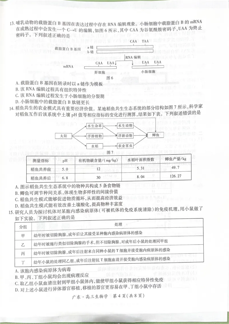 广东省领航高中联盟2025-2026学年高三上学期毕业班模拟考试生物学试卷（PDF版，无答案）_2025年12月_251202广东省2025-2026学年领航高中联盟高三毕业班模拟考试（全科）