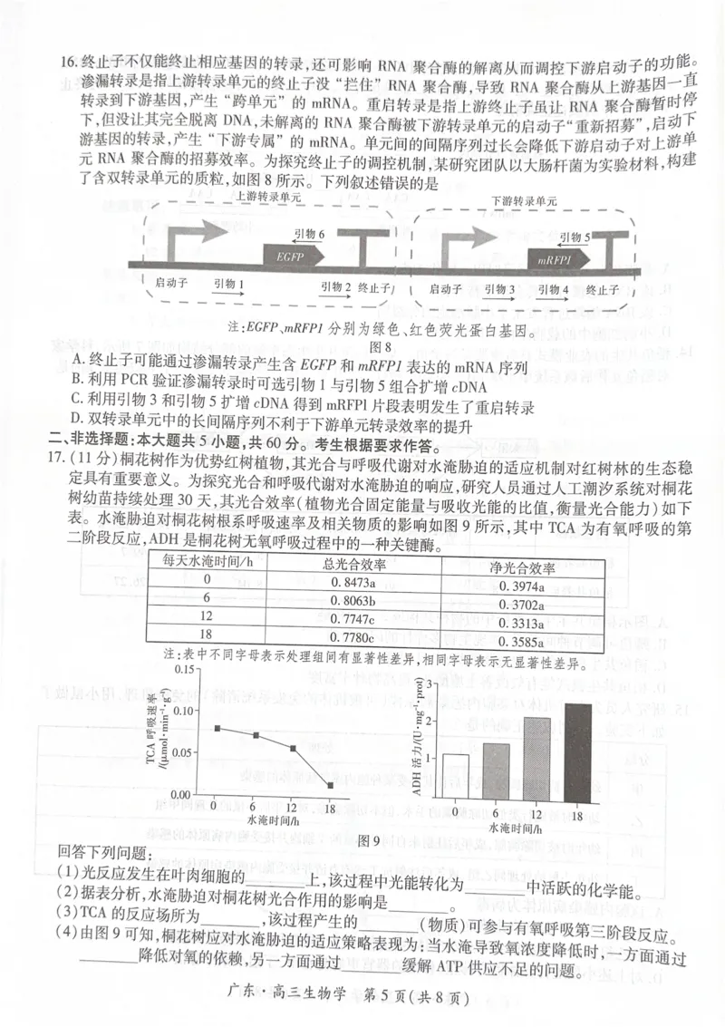 广东省领航高中联盟2025-2026学年高三上学期毕业班模拟考试生物学试卷（PDF版，无答案）_2025年12月_251202广东省2025-2026学年领航高中联盟高三毕业班模拟考试（全科）