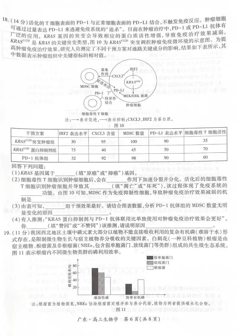 广东省领航高中联盟2025-2026学年高三上学期毕业班模拟考试生物学试卷（PDF版，无答案）_2025年12月_251202广东省2025-2026学年领航高中联盟高三毕业班模拟考试（全科）