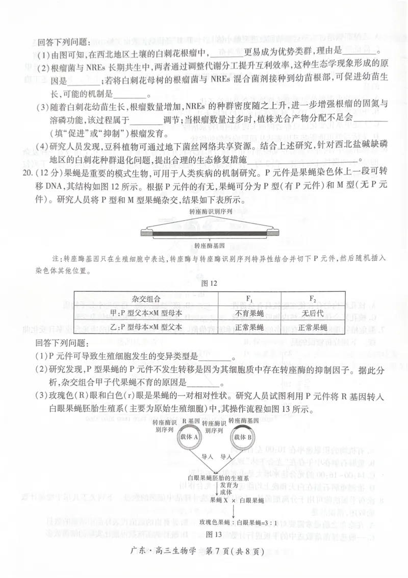 广东省领航高中联盟2025-2026学年高三上学期毕业班模拟考试生物学试卷（PDF版，无答案）_2025年12月_251202广东省2025-2026学年领航高中联盟高三毕业班模拟考试（全科）