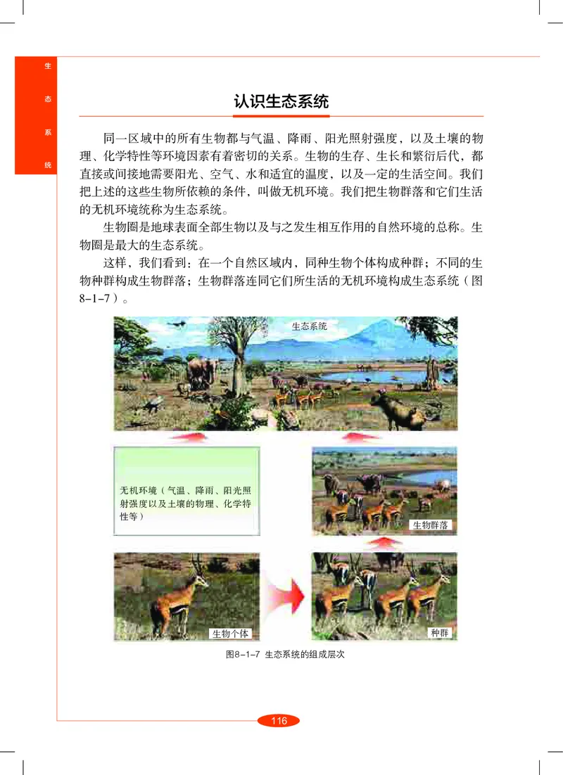 沪教版8年级科学上册高清教材_4-教培资料-26年最新资料-同步更新_初中高中教资_03科三专项（进去保存报考的学科即可）_02科三专项（笔记真题思维导图教学设计版本二）