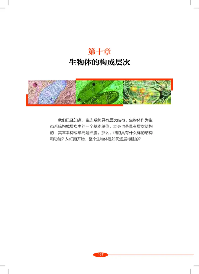 沪教版8年级科学上册高清教材_4-教培资料-26年最新资料-同步更新_初中高中教资_03科三专项（进去保存报考的学科即可）_02科三专项（笔记真题思维导图教学设计版本二）