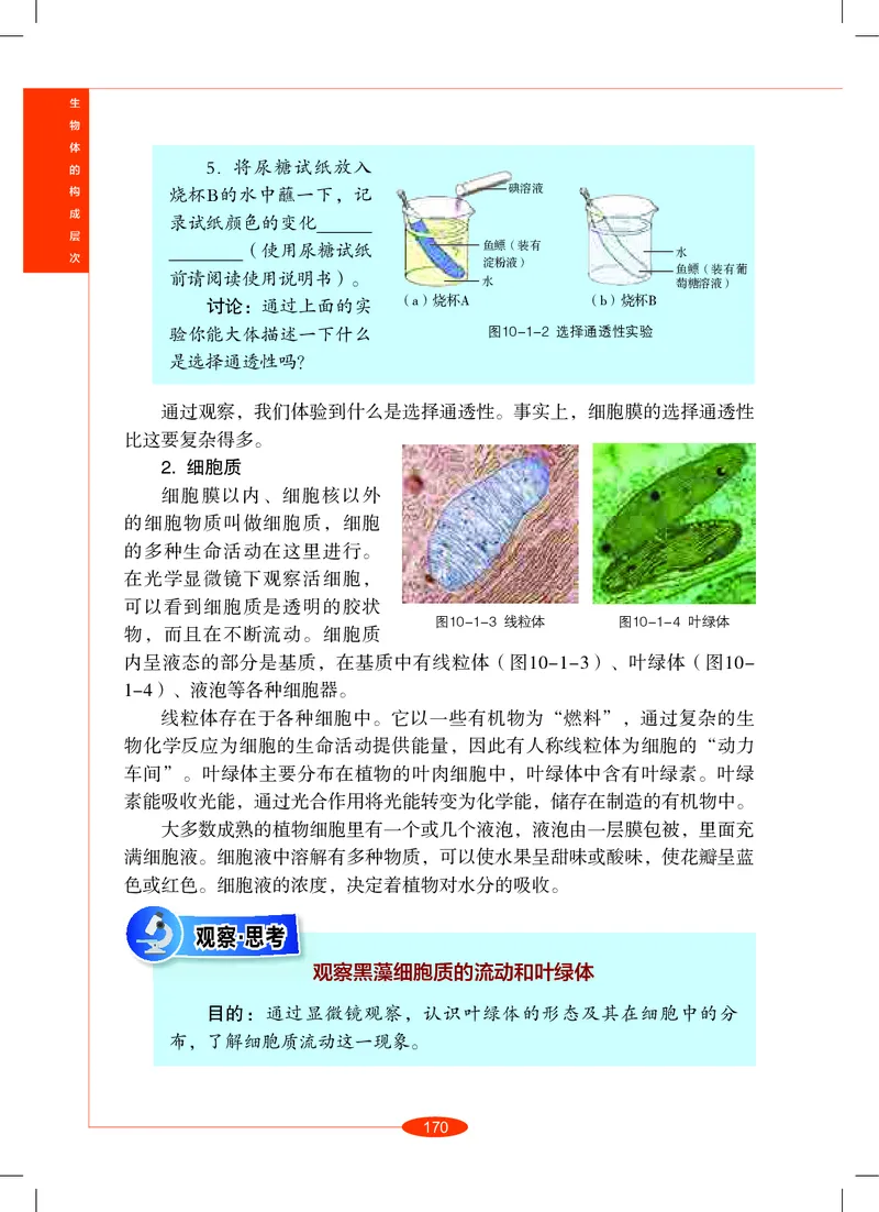 沪教版8年级科学上册高清教材_4-教培资料-26年最新资料-同步更新_初中高中教资_03科三专项（进去保存报考的学科即可）_02科三专项（笔记真题思维导图教学设计版本二）