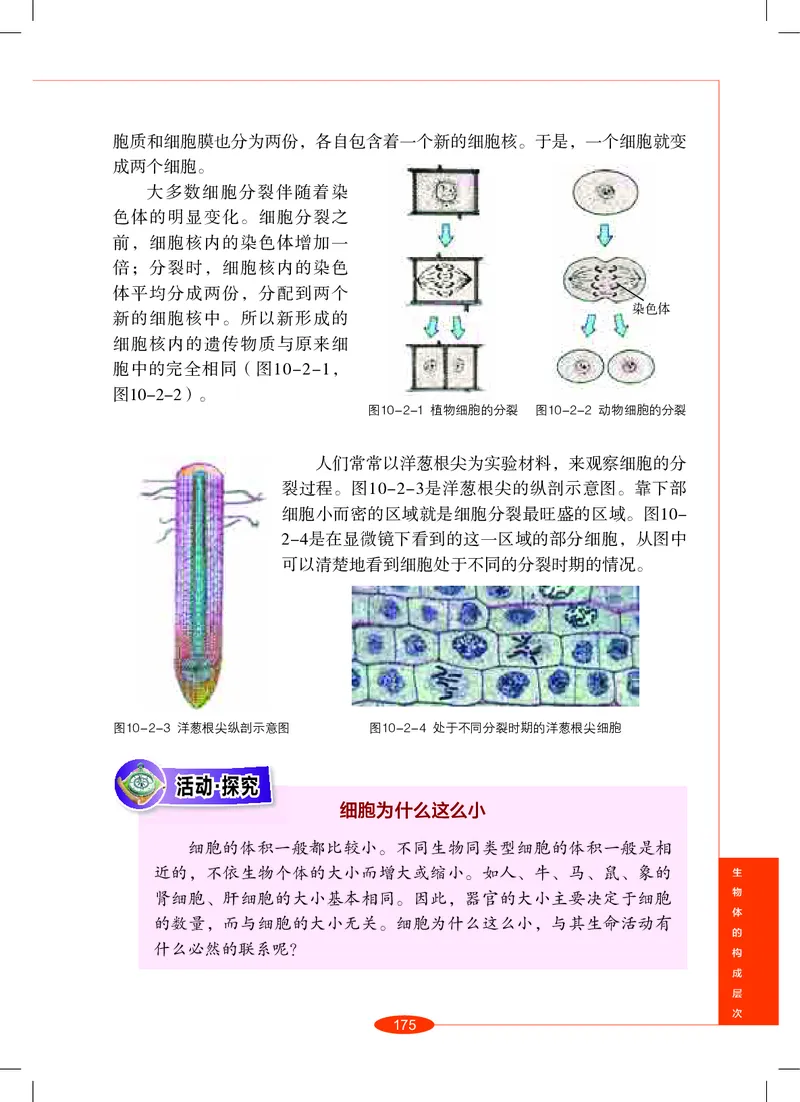 沪教版8年级科学上册高清教材_4-教培资料-26年最新资料-同步更新_初中高中教资_03科三专项（进去保存报考的学科即可）_02科三专项（笔记真题思维导图教学设计版本二）