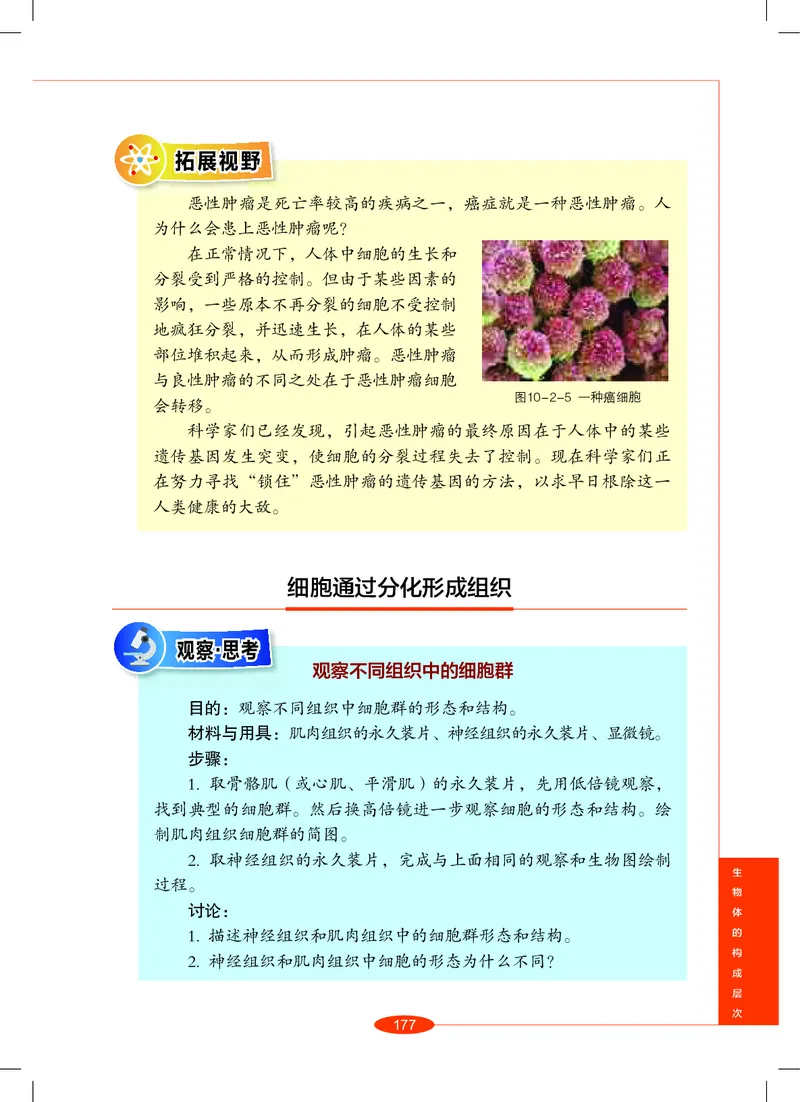 沪教版8年级科学上册高清教材_4-教培资料-26年最新资料-同步更新_初中高中教资_03科三专项（进去保存报考的学科即可）_02科三专项（笔记真题思维导图教学设计版本二）