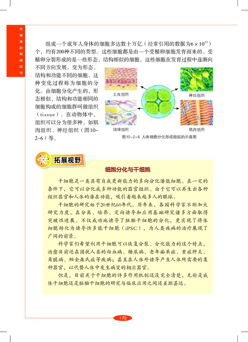 沪教版8年级科学上册高清教材_4-教培资料-26年最新资料-同步更新_初中高中教资_03科三专项（进去保存报考的学科即可）_02科三专项（笔记真题思维导图教学设计版本二）