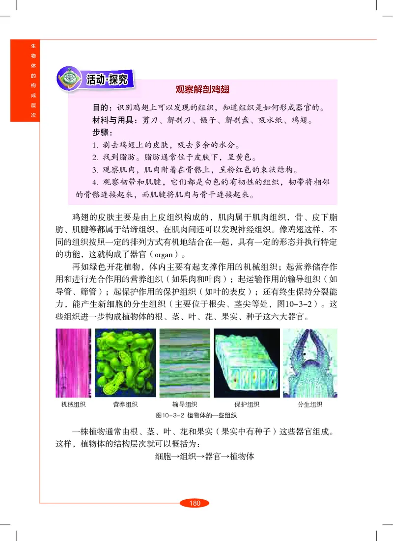 沪教版8年级科学上册高清教材_4-教培资料-26年最新资料-同步更新_初中高中教资_03科三专项（进去保存报考的学科即可）_02科三专项（笔记真题思维导图教学设计版本二）