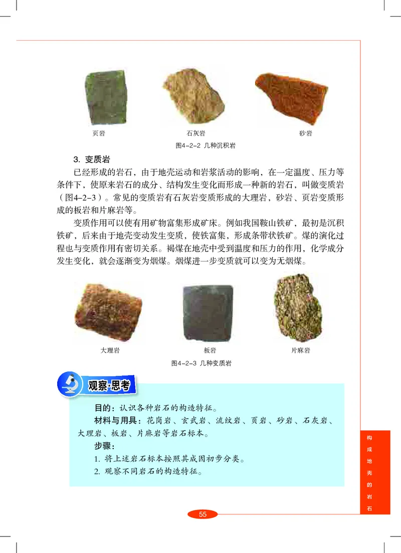 沪教版8年级科学上册高清教材_4-教培资料-26年最新资料-同步更新_初中高中教资_03科三专项（进去保存报考的学科即可）_02科三专项（笔记真题思维导图教学设计版本二）