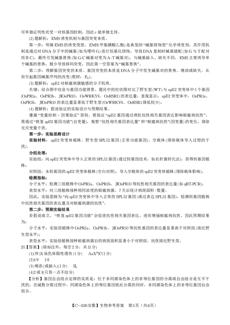 生物答案&middot;2025年11月高三期中联考_251121安徽省皖江名校联盟2025-2026学年高三上学期期中联考（全科）