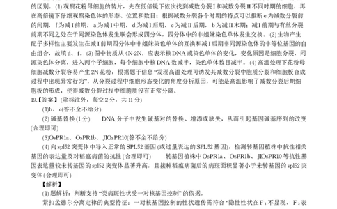 生物答案&middot;2025年11月高三期中联考_251121安徽省皖江名校联盟2025-2026学年高三上学期期中联考（全科）