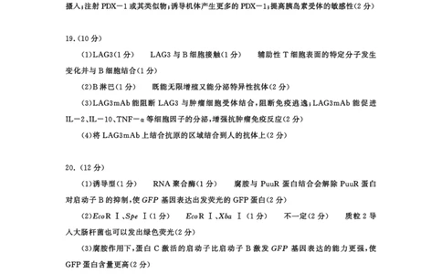成都市2023级高中毕业班第一次诊断性检测生物答案_2025年12月_251224四川省成都市2023级(2026届)高中毕业班高三年级第一次诊断性检测（全科）