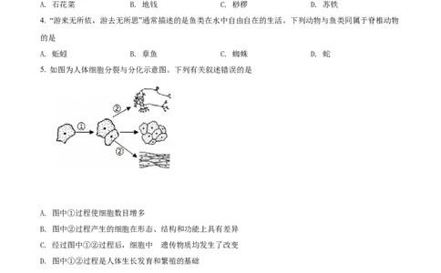 精品解析：2022年四川省广安市中考生物真题（原卷版）_中考真题_8.生物中考真题2015-2024年_2022年全国中考生物114份14