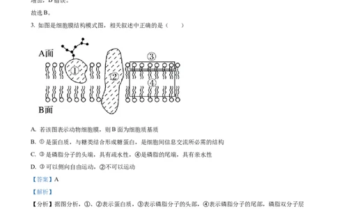 精品解析：河南省南阳市一中2023-2024学年高三12月月考生物试题（解析版）_2024届河南省南阳市第一中学校高三上学期12月月考_河南省南阳市一中2023-2024学年高三12月月考生物试题