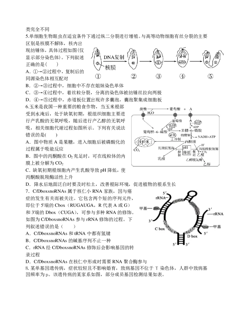东师附中26届二模生物_251121吉林省长春市东北师大附中2026届高三第二次摸底考试（全科）