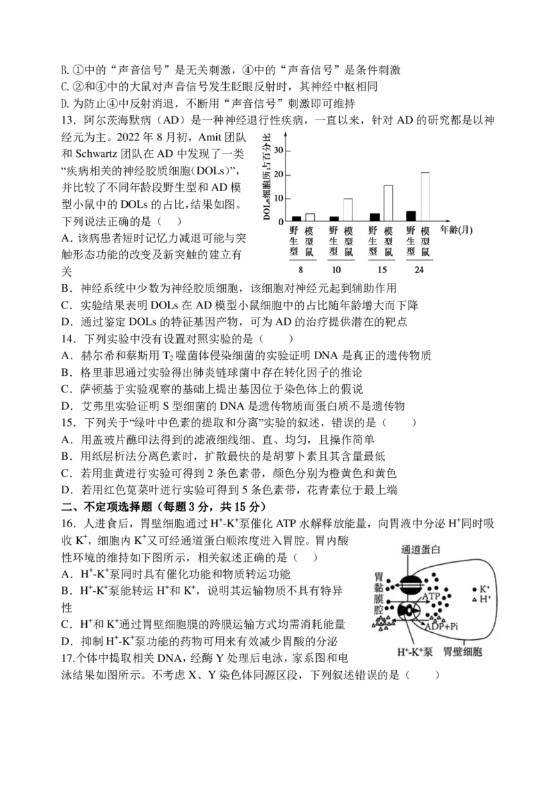 东师附中26届二模生物_251121吉林省长春市东北师大附中2026届高三第二次摸底考试（全科）