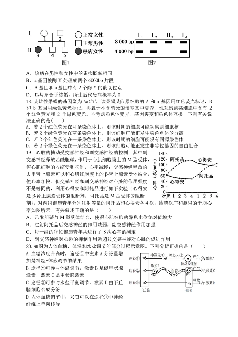东师附中26届二模生物_251121吉林省长春市东北师大附中2026届高三第二次摸底考试（全科）