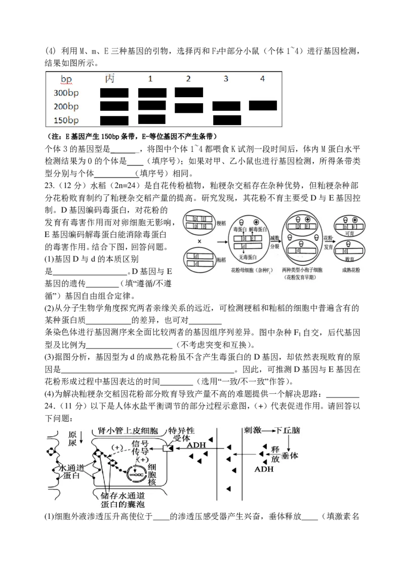 东师附中26届二模生物_251121吉林省长春市东北师大附中2026届高三第二次摸底考试（全科）