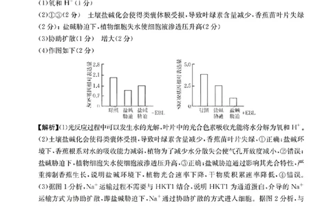 生物试卷(26-118C)答案_251129广东省金太阳2026届高三上学期11月联考（全科）