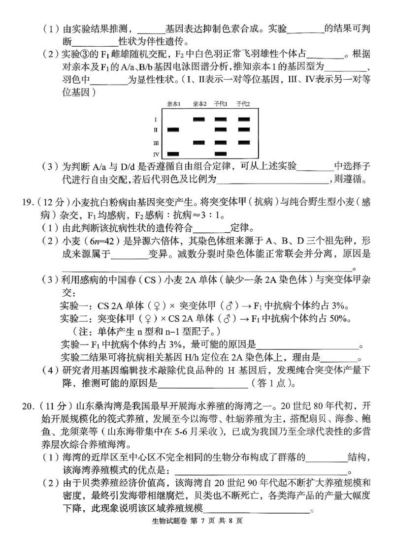 湖南省A佳联考2025-2026学年高三上学期11月期中考试生物试题_2025年12月_251201湖南省A佳联考2025-2026学年高三上学期11月期中考试（全科）