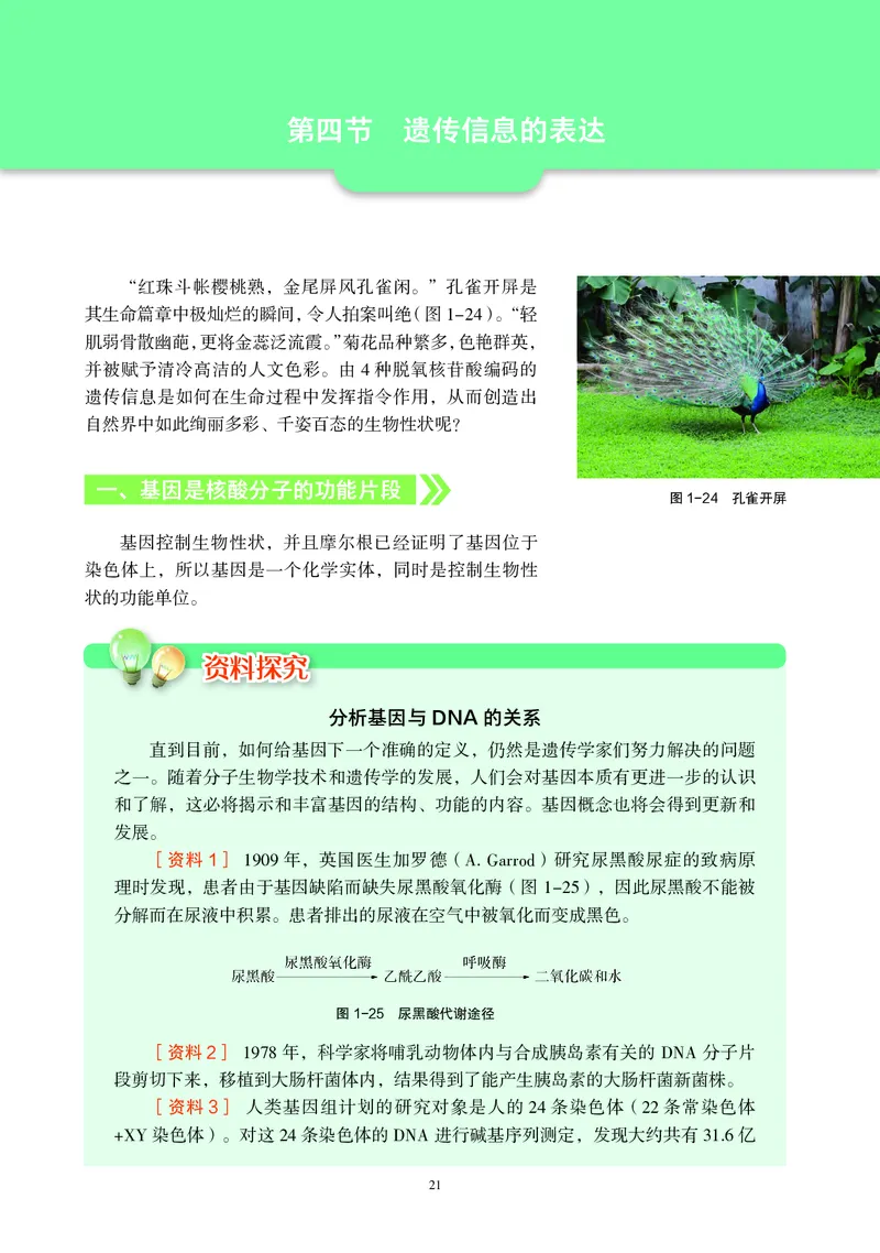 沪科教生物必修2高清教材_4-教培资料-26年最新资料-同步更新_初中高中教资_03科三专项（进去保存报考的学科即可）_02科三专项（笔记真题思维导图教学设计版本二）