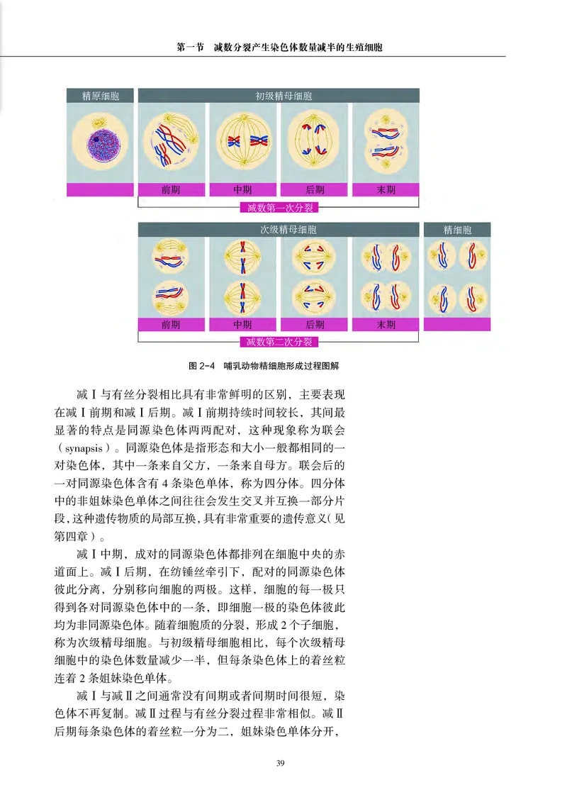沪科教生物必修2高清教材_4-教培资料-26年最新资料-同步更新_初中高中教资_03科三专项（进去保存报考的学科即可）_02科三专项（笔记真题思维导图教学设计版本二）