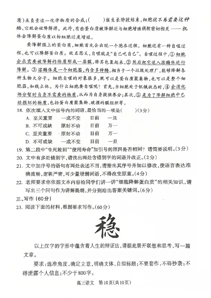 2025-2026学年吕梁市高三阶段性测试语文_251102山西省吕梁市2025-2026学年高三上学期阶段性测试（全科）_2025-2026学年吕梁市高三阶段性测试语文