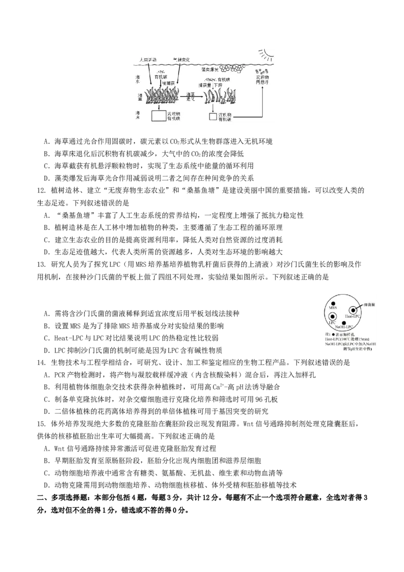 江苏省南京市七校联合体2025-2026学年高三上学期12月联合考试生物试卷（含答案）_2025年12月_251212江苏省南京市七校联合体2025-2026学年高三上学期12月联合考试（全科）