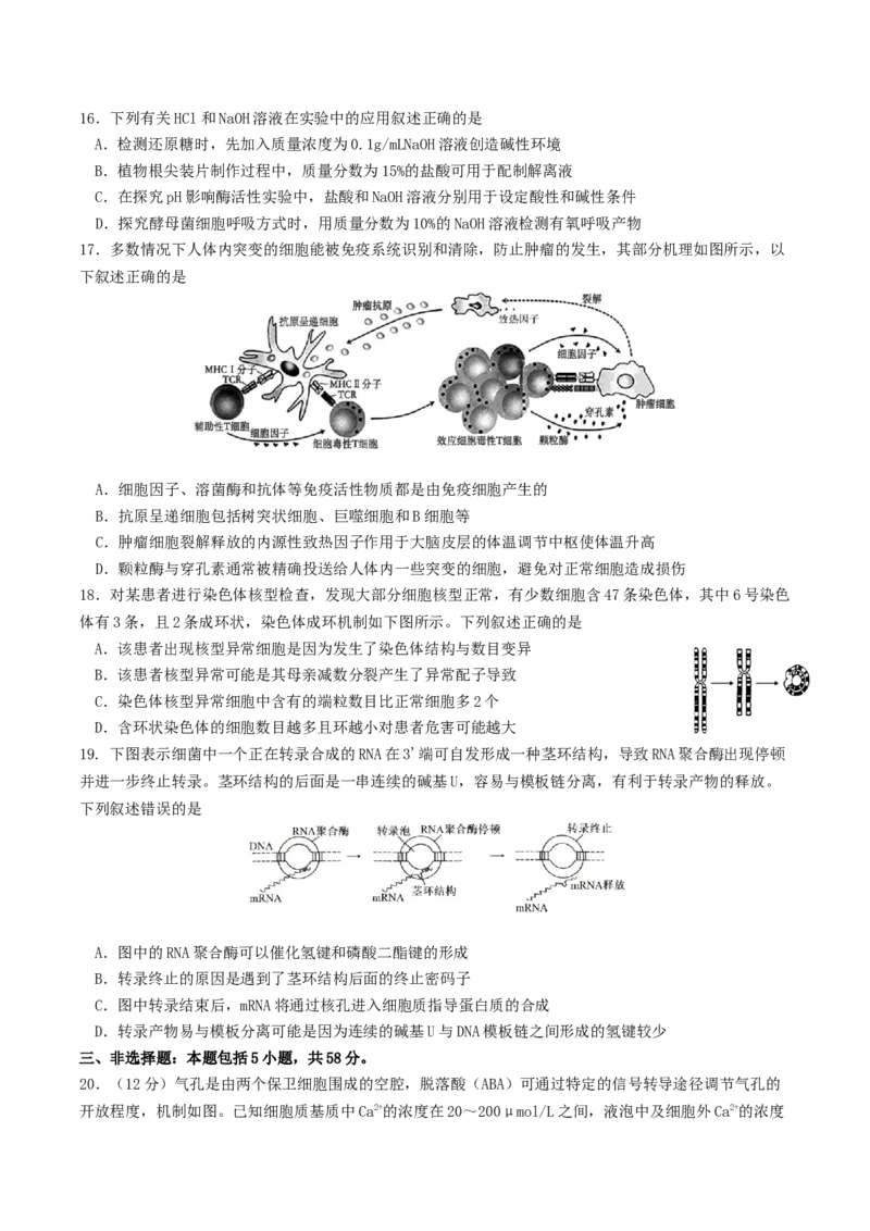 江苏省南京市七校联合体2025-2026学年高三上学期12月联合考试生物试卷（含答案）_2025年12月_251212江苏省南京市七校联合体2025-2026学年高三上学期12月联合考试（全科）