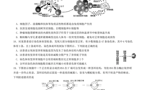江苏省南京市七校联合体2025-2026学年高三上学期12月联合考试生物试卷（含答案）_2025年12月_251212江苏省南京市七校联合体2025-2026学年高三上学期12月联合考试（全科）